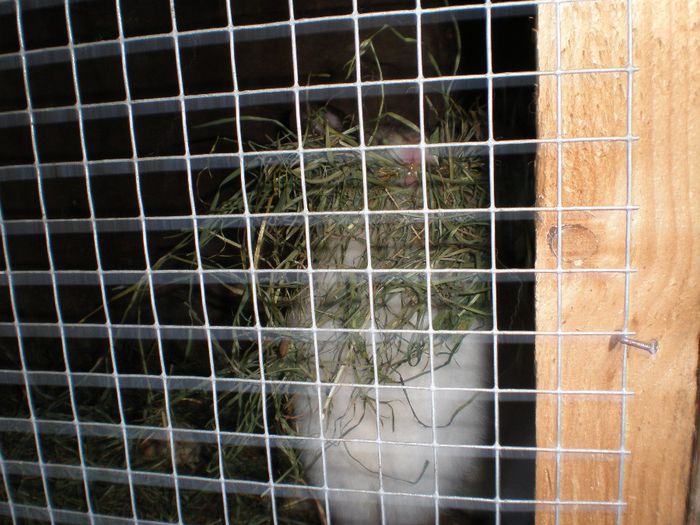 Ne pregatim de prima fatare...