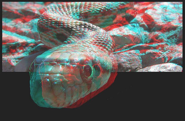 801 - SPECIAL 3d anaglyph