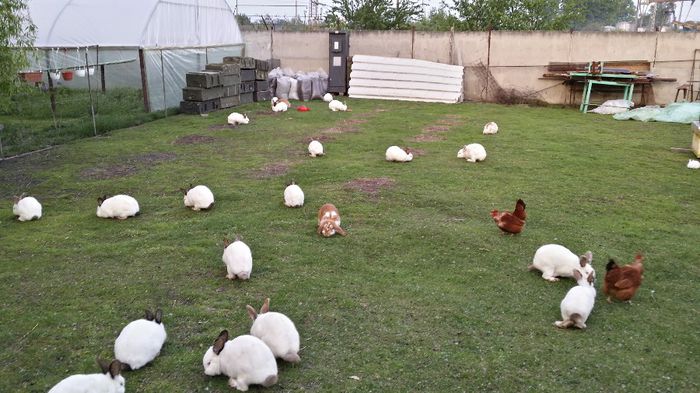 20140502_200845_Richtone(HDR)