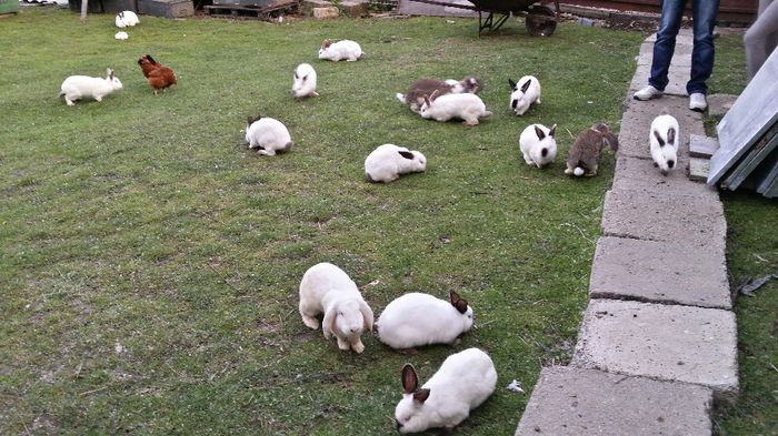 20140502_200837_Richtone(HDR)