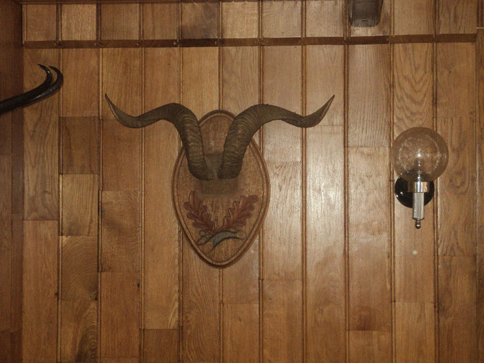 DSC07902 - LUCRARI FACUTE DE MINE SI DE TATAL MEU