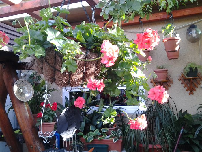 20140507_182848 - 1mai