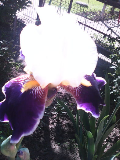 IMG_20140508_162920
