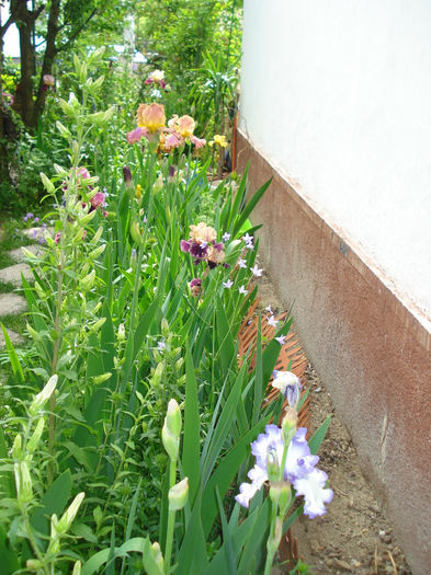 DSC09275