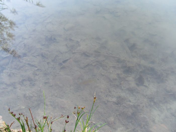  - Diverse 1 - Plimbari