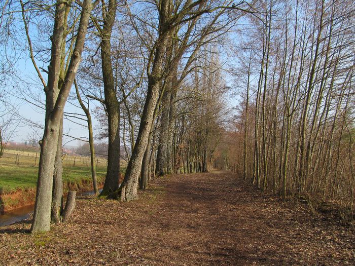  - Diverse 1 - Plimbari