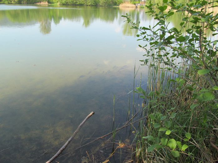  - Diverse 1 - Plimbari