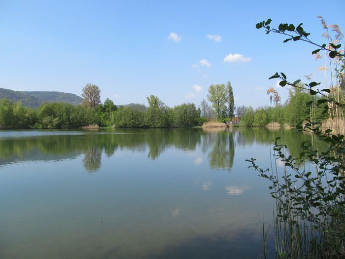  - Diverse 1 - Plimbari