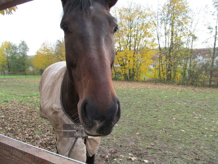  - Diverse 1 - Plimbari