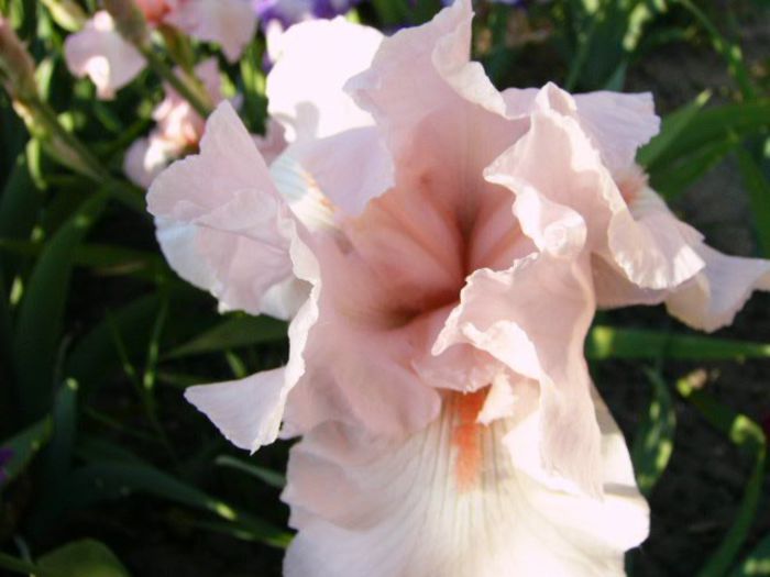 P1200783