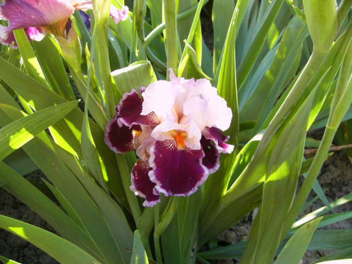 P1200797