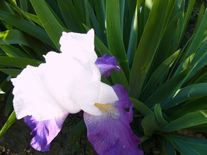 P1200814