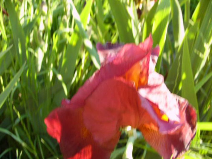 P1200818