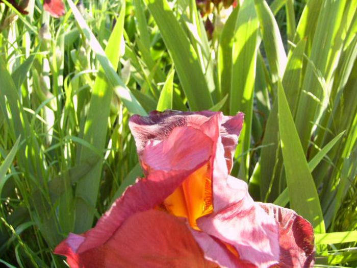 P1200819