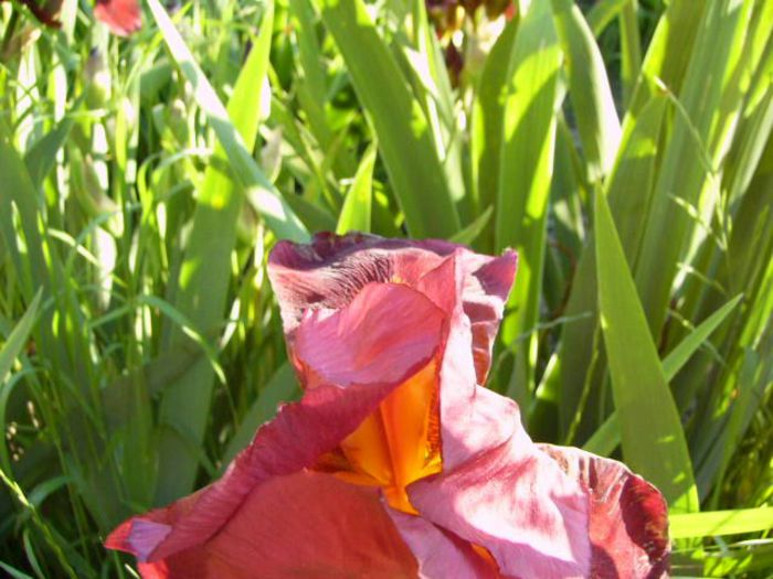 P1200820