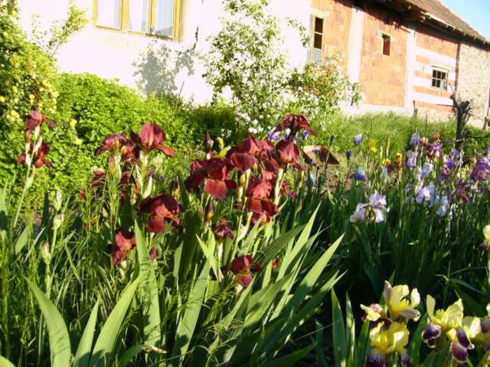 P1200825