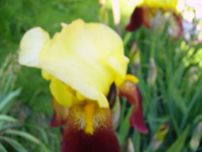 P1200832