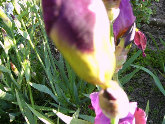 P1200840