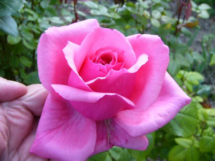 P1200877