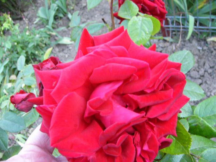 P1200883