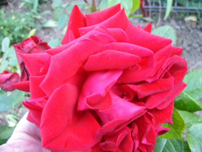 P1200884