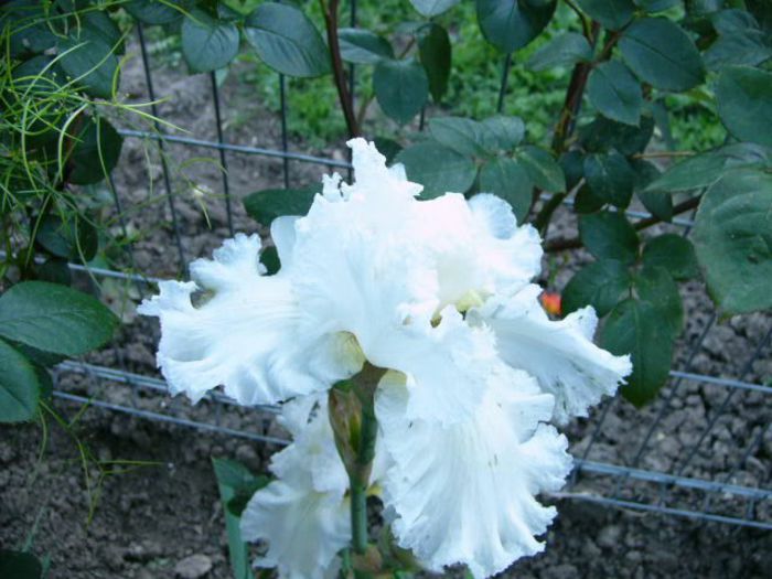 P1200890