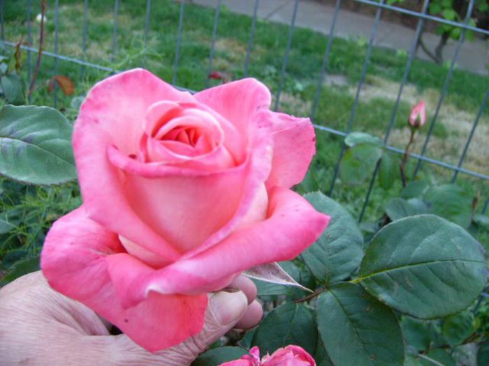 P1200895