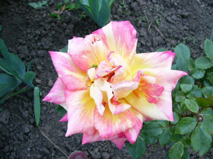 P1200899