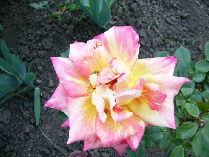 P1200900