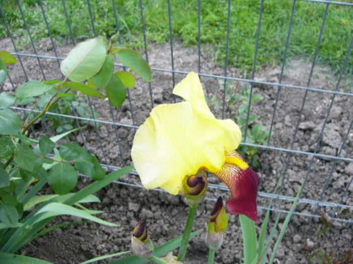 P1200901