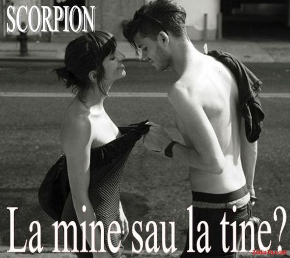 SweetGirlx3 - scorpion