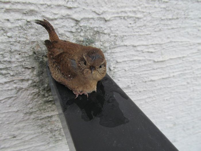  - Diverse 3 - Diverse