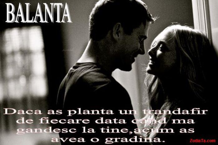 dasddsdsdd - balanta