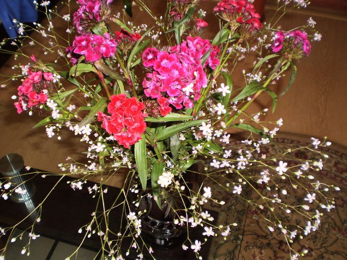 P6270036 - flori 2