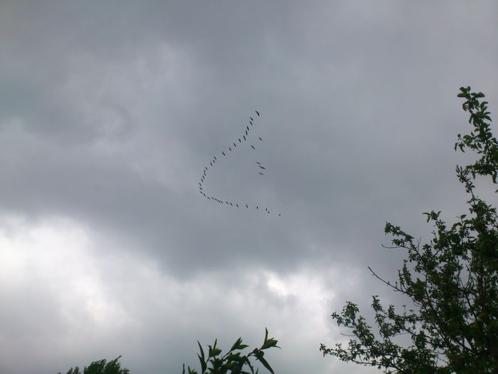 deasupra - PRIMAVARA 2014