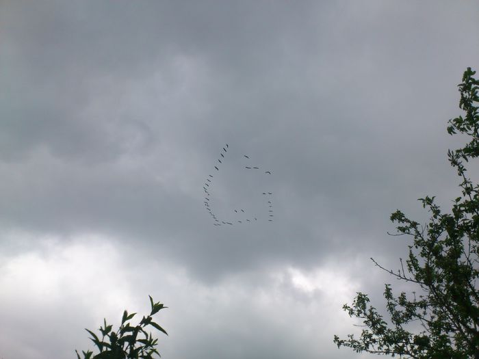 lacului - PRIMAVARA 2014