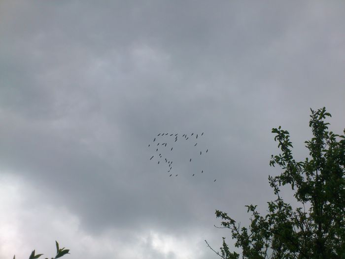 n-am reusit s-o surprind