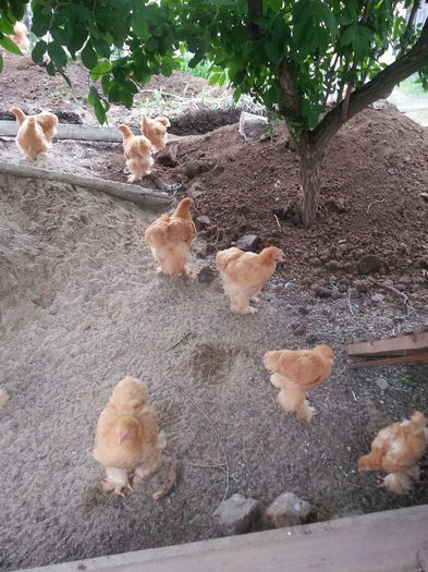 20140510_092545 - pui 2014