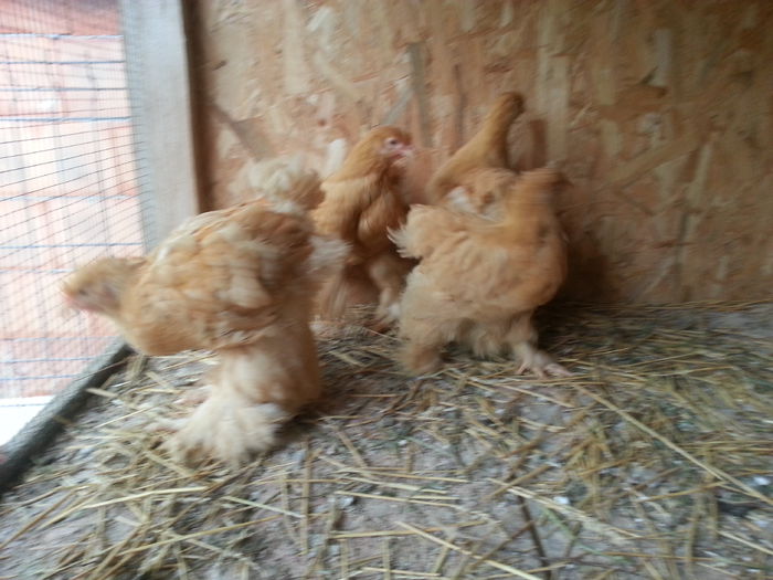 20140510_092117 - pui 2014