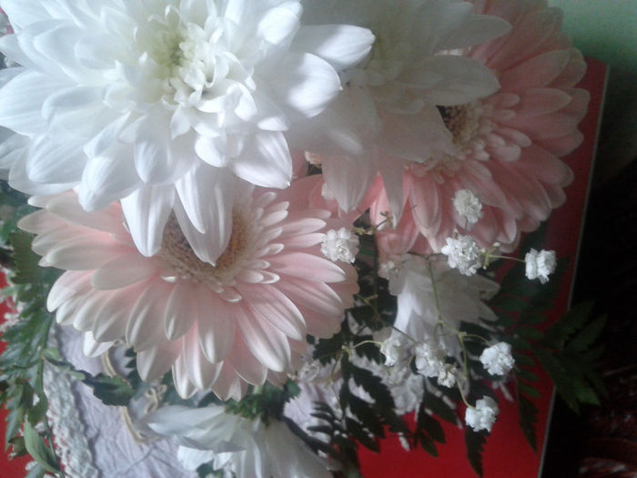 2014-05-04 18.44.03 - florile mele