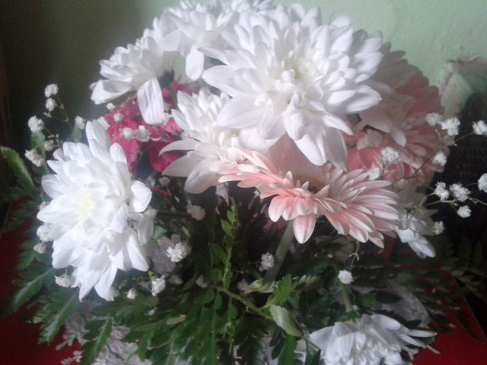 2014-05-04 18.43.56 - florile mele