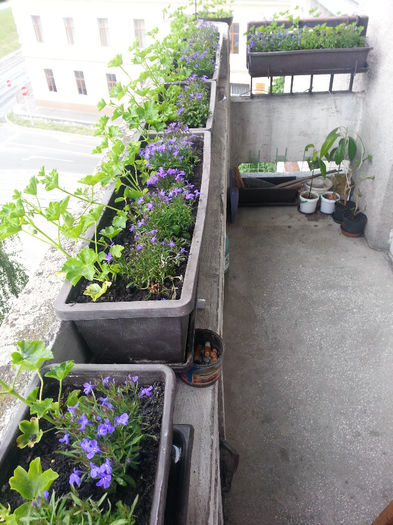 20140510_143027