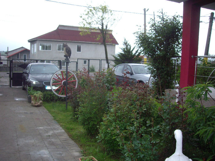IMGP6263