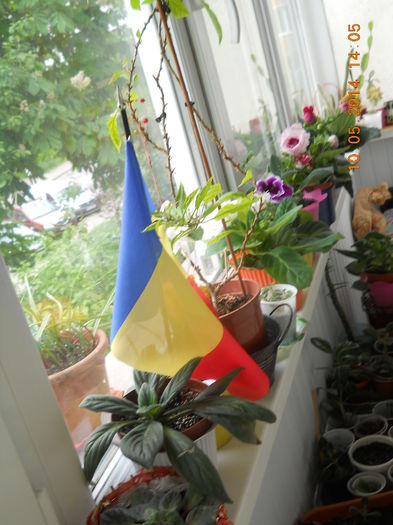 009 - MAI 2014