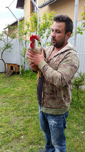 tmp_20140510_183520944244864; creasta de export...
