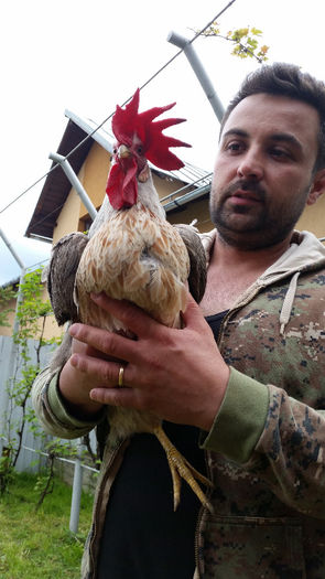 tmp_20140510_183552-14400434