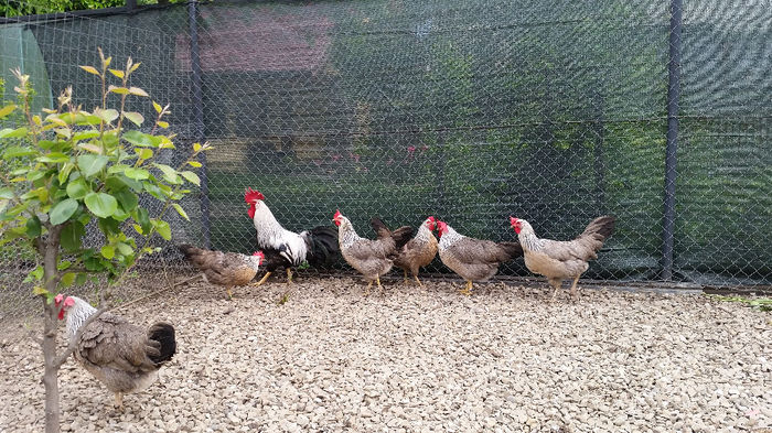 tmp_20140510_184056-1350092179