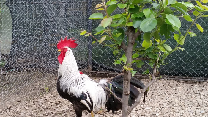 tmp_20140510_1840191721396667