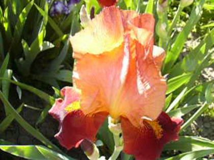 P1210016