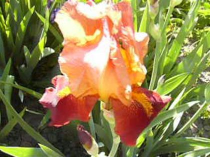 P1210018